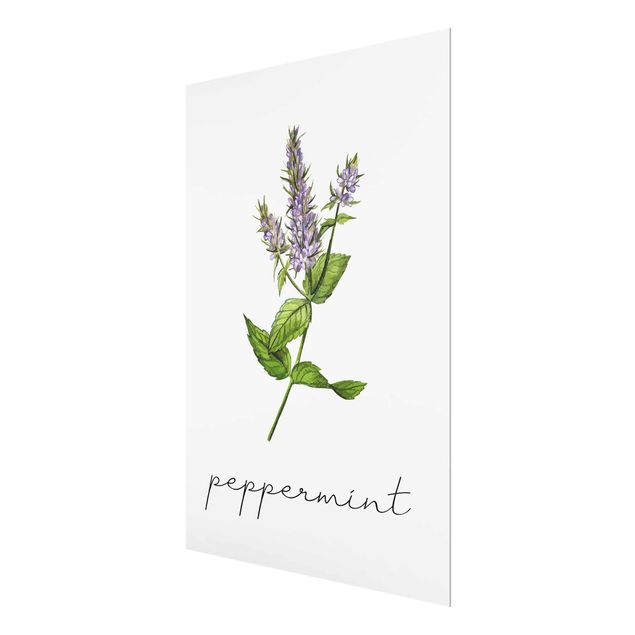 Prints Herbs Illustration Pepper Mint