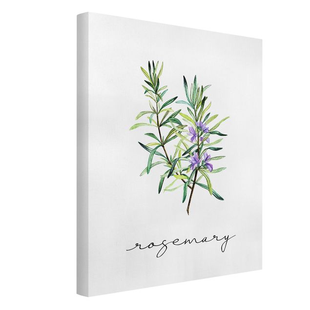 Floral prints Herbs Illustration Rosemary