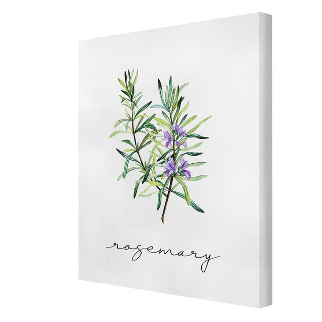 Spices canvas Herbs Illustration Rosemary