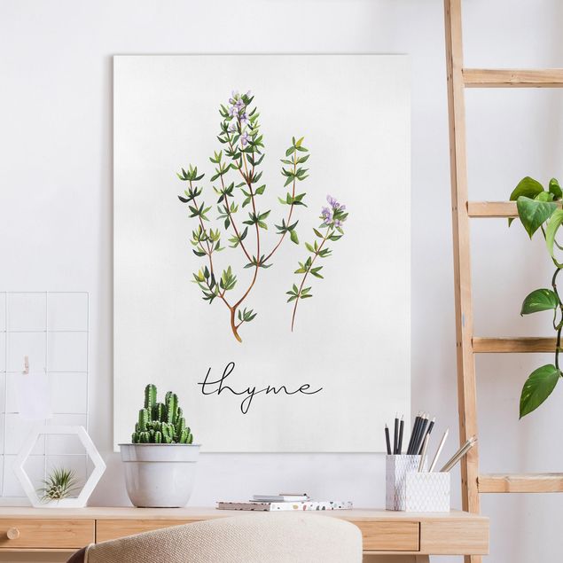 Kitchen Herbs Illustration Thyme