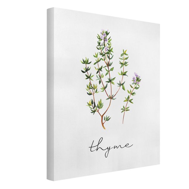 Prints modern Herbs Illustration Thyme