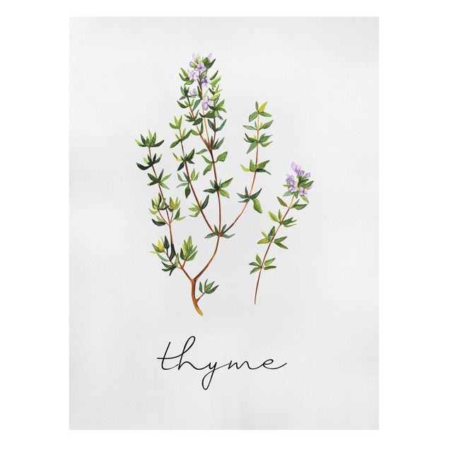 Canvas prints spices and herbs Herbs Illustration Thyme