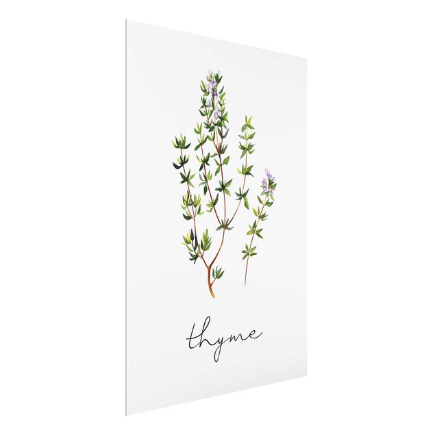 Floral picture Herbs Illustration Thyme