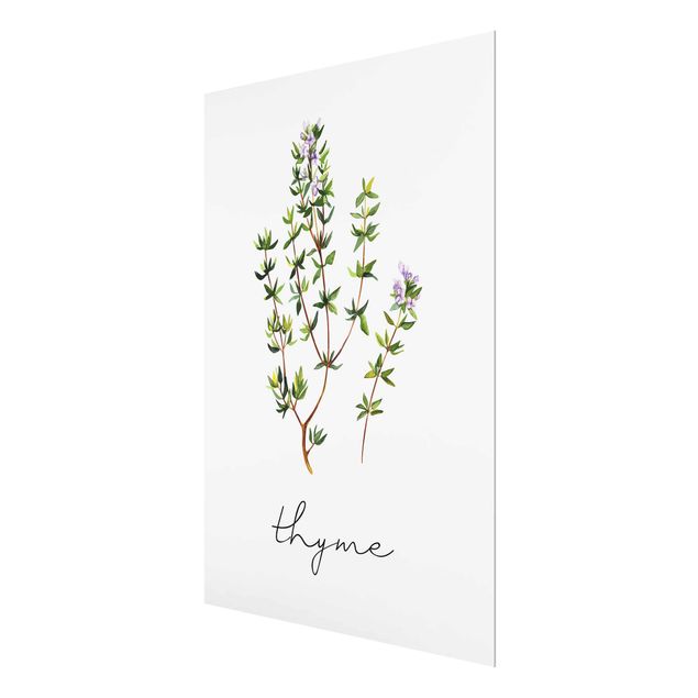 Prints Herbs Illustration Thyme