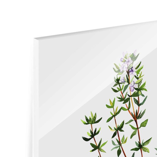 Glas Magnetboard Herbs Illustration Thyme