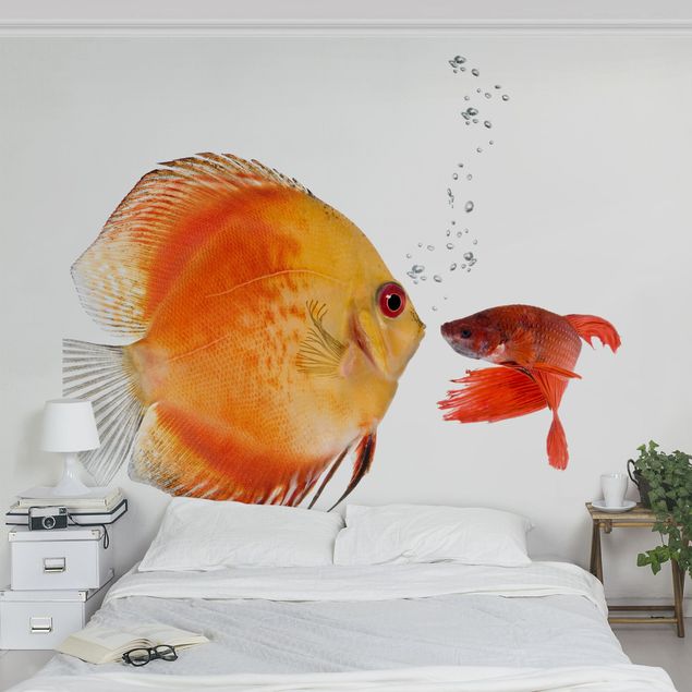 Undersea wallpaper Kissing Fish