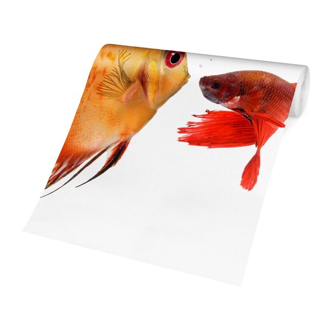 Contemporary wallpaper Kissing Fish