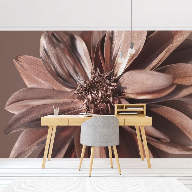 Wallpapers brown Copper Golden Dahlia Dream