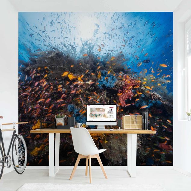 Wallpapers fishes Lagoon With Fish