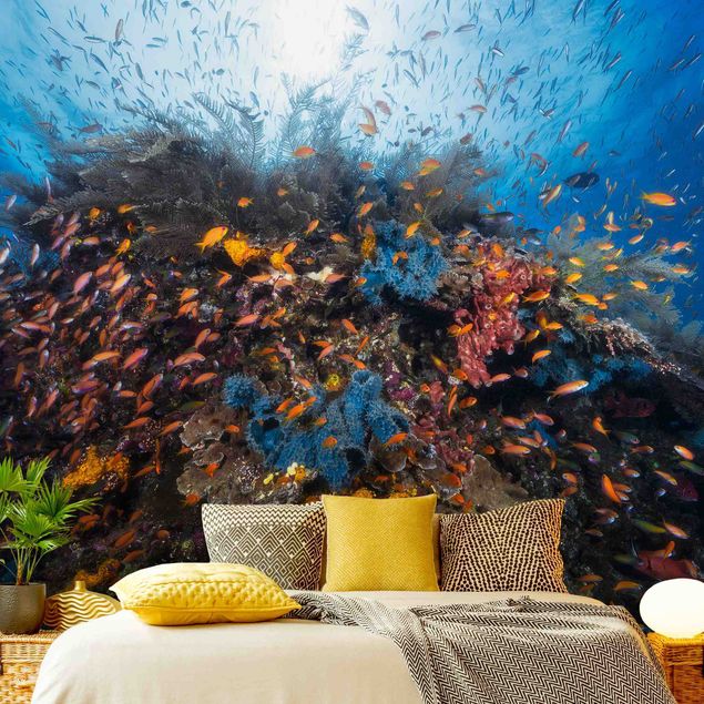 Undersea wallpaper Lagoon With Fish