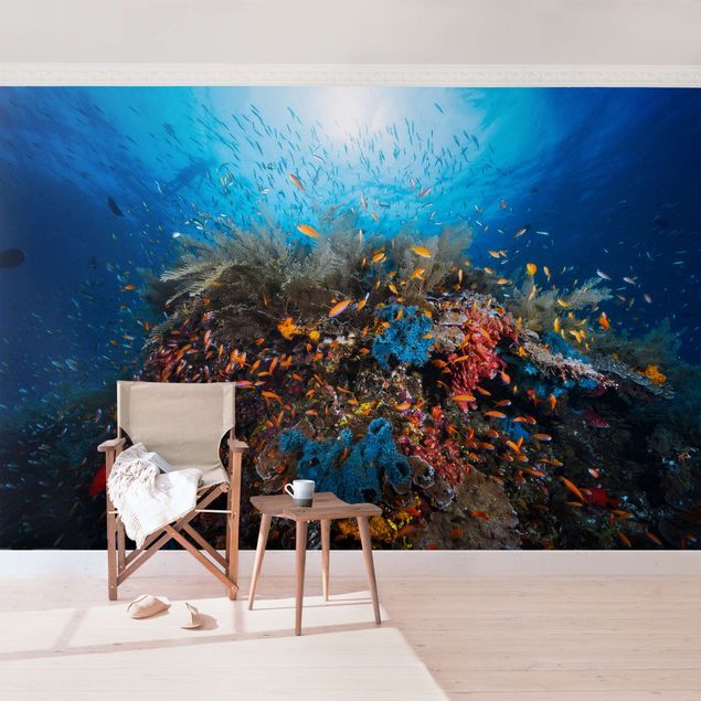 Wallpapers underwater Lagoon Underwater