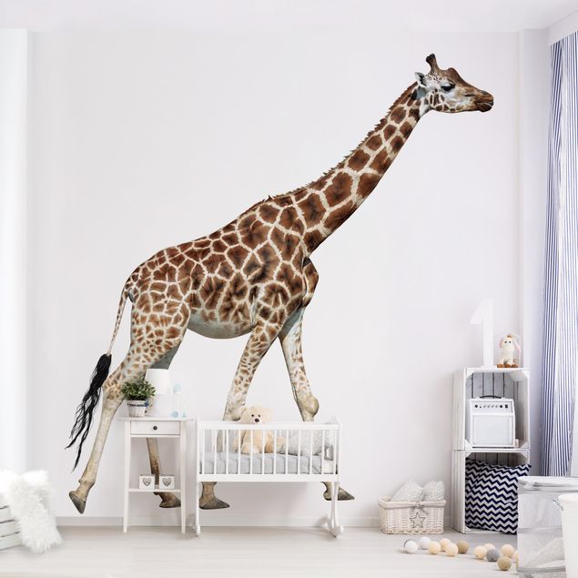 Wallpapers animals Running Giraffe