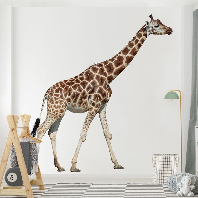 Modern wallpaper designs Running Giraffe
