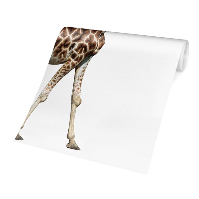 Wallpapers white Running Giraffe