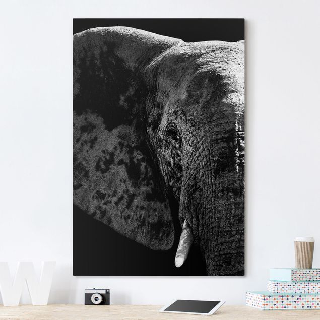 Prints elefant African Elephant black and white