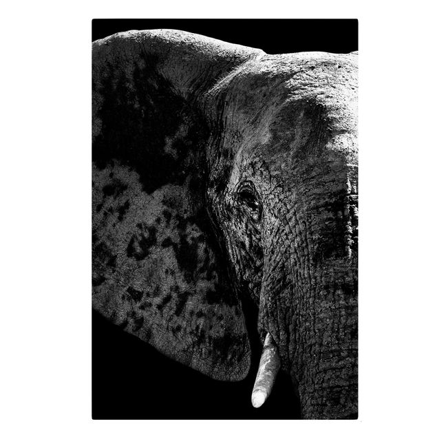 Canvas black and white African Elephant black and white