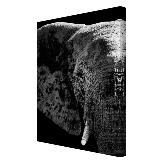 Animal wall art African Elephant black and white