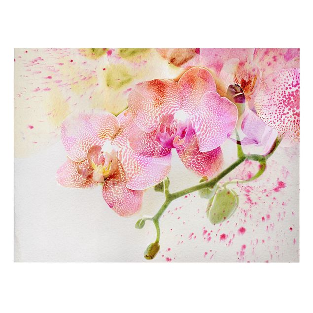 Floral prints Watercolour Flowers Orchids