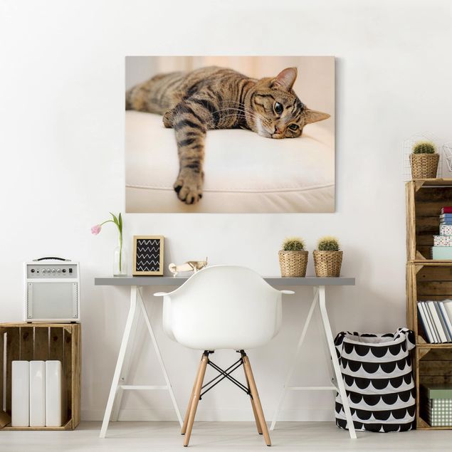 Dog canvas art Cat Chill Out