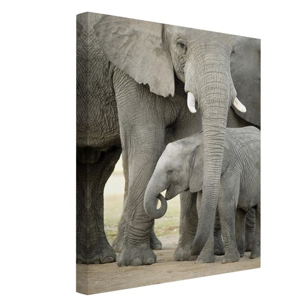 Prints animals Elephant Love
