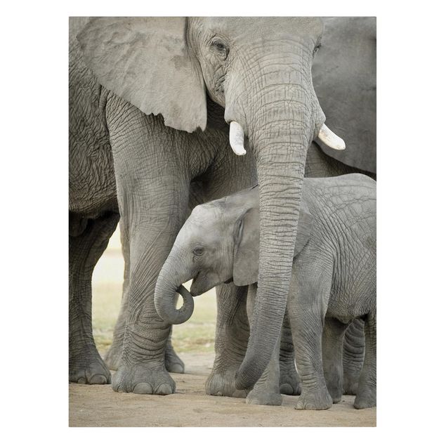Modern art prints Elephant Love