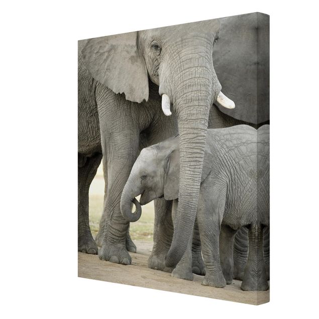 Animal canvas Elephant Love
