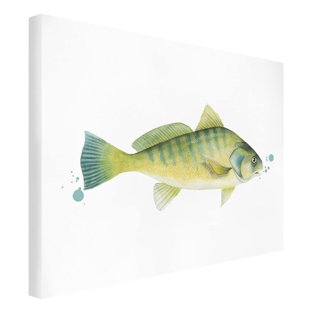 Animal wall art Color Catch - Perch