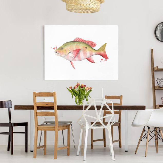 Prints fishes Color Catch - Northern Red Snapper