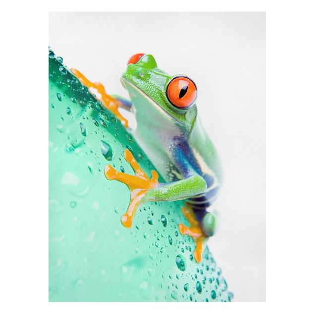 Canvas prints animals Frog