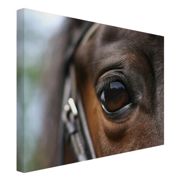 Prints animals Horse Eye