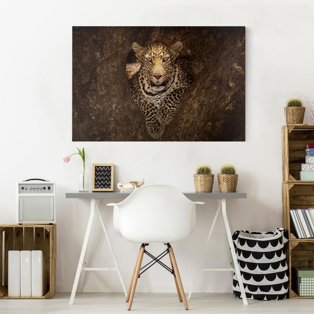 Animal canvas Leopard Resting On A Tree