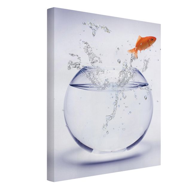Animal wall art Flying Goldfish