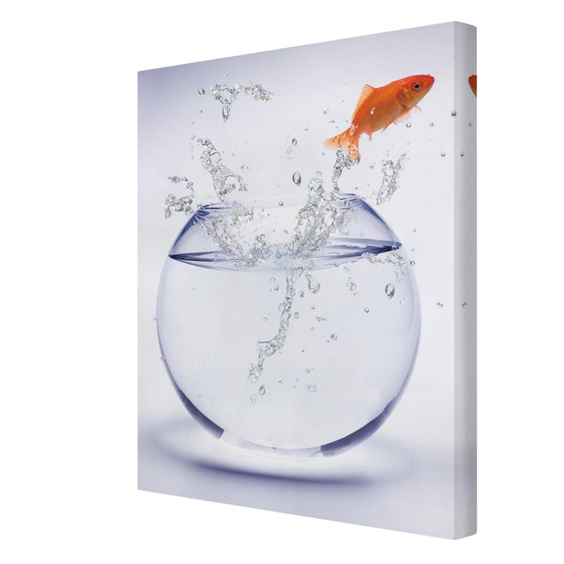 Canvas prints animals Flying Goldfish