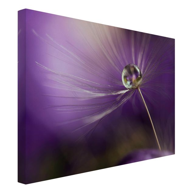 Prints flower Dandelion In Violet