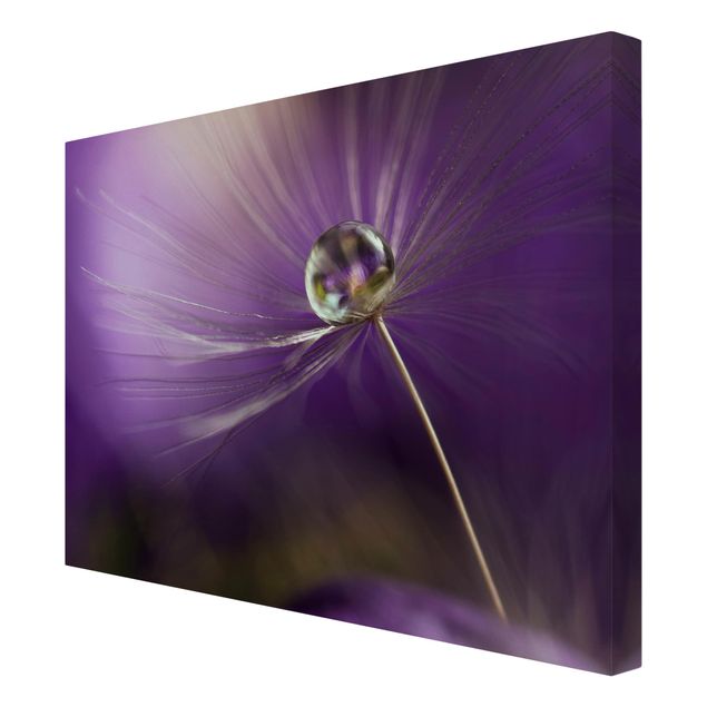 Wall art purple Dandelion In Violet