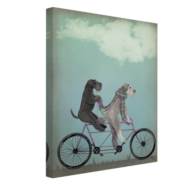 Pug canvas Cycling - Schnauzer Tandem