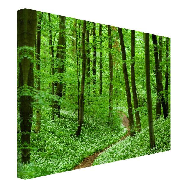 Contemporary art prints Romantic Forest Track
