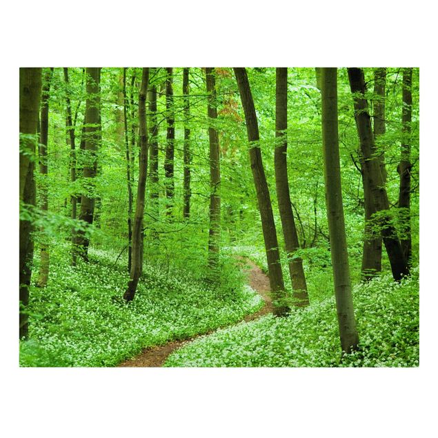 Canvas prints landscape Romantic Forest Track