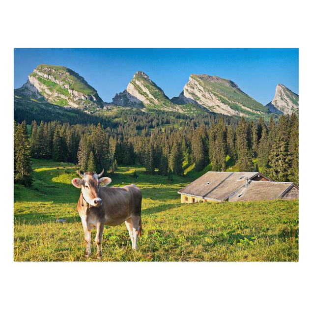 Canvas mountain Swiss Alpine Meadow With Cow