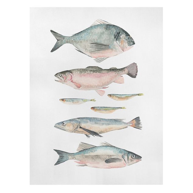 Contemporary art prints Seven Fish In Watercolour II