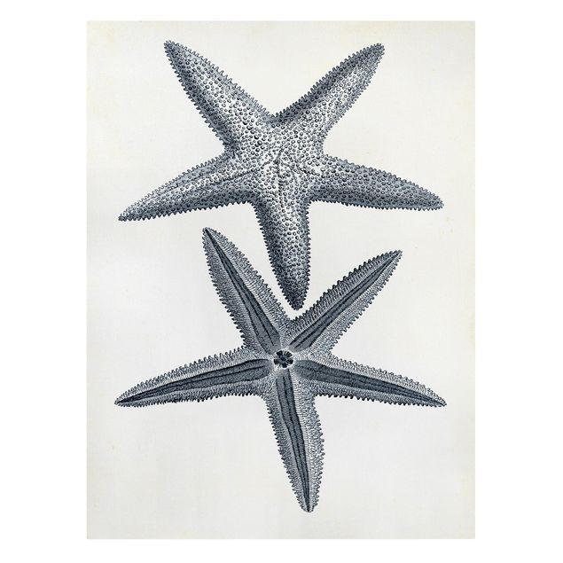 Contemporary art prints Flotsam In Navy II