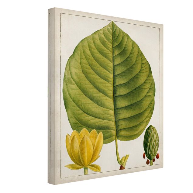 Prints modern Tableau Leaf Flower Fruit I