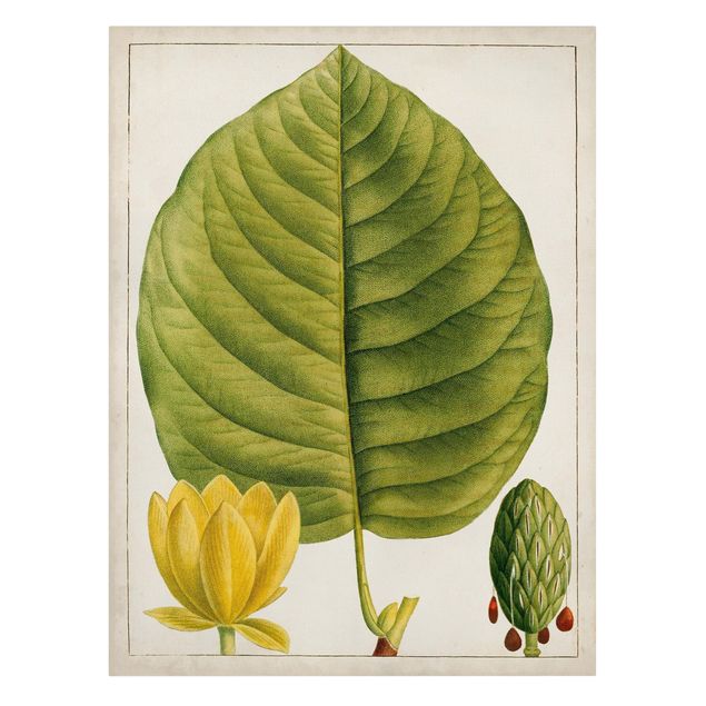 Green art prints Tableau Leaf Flower Fruit I