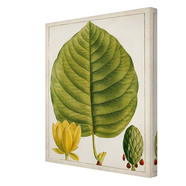 Prints Tableau Leaf Flower Fruit I