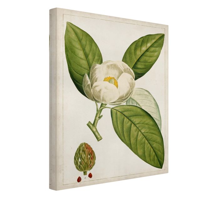 Prints modern Tableau Leaf Flower Fruit II