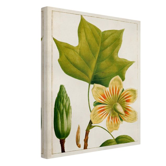 Prints modern Tableau Leaf Flower Fruit IV