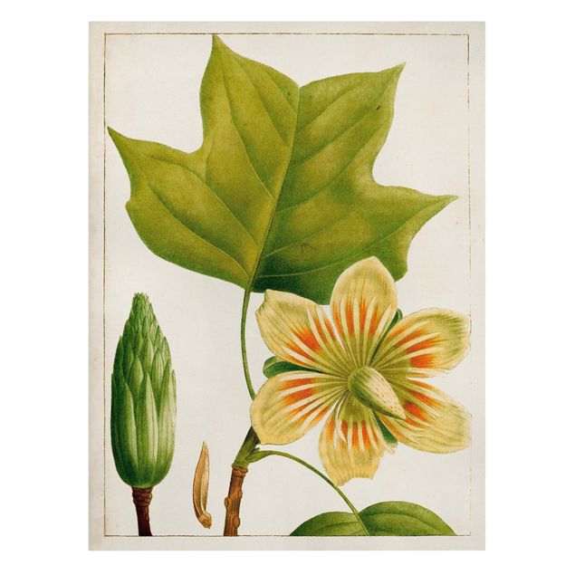 Green art prints Tableau Leaf Flower Fruit IV