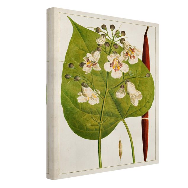 Modern art prints Tableau Leaf Flower Fruit V
