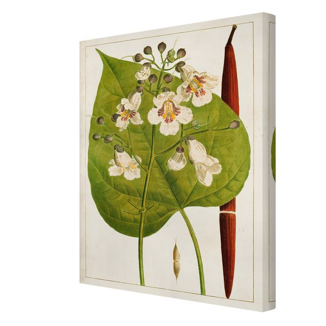 Prints Tableau Leaf Flower Fruit V