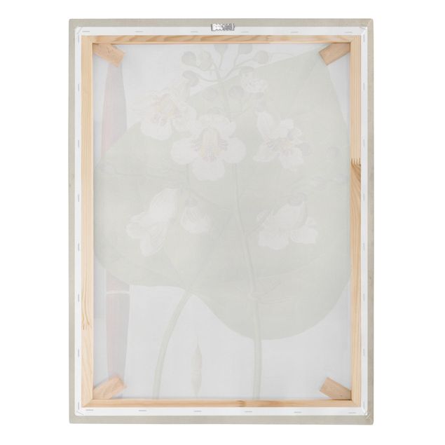 Canvas prints Tableau Leaf Flower Fruit V